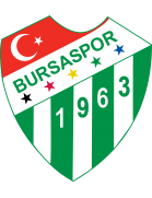 Bursaspor Formation