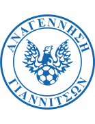 Anagennisi Giannitson U19