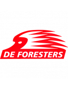 De Foresters Formation