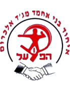 Ihud Bnei Majd al-Krum