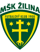 MSK Zilina Formation