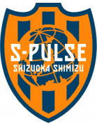 Shimizu S-Pulse Youth