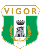 Vigor Lamezia Calcio